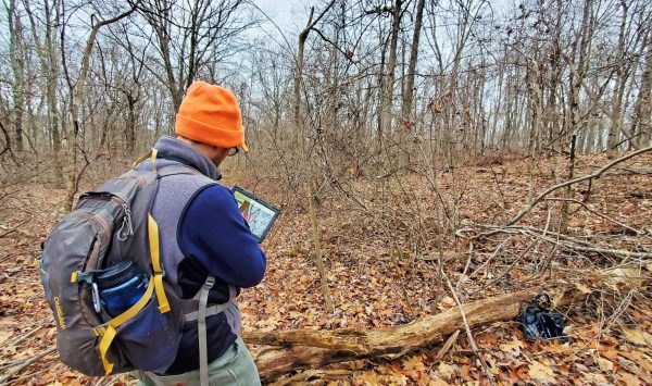 Scenic Hudson staff mapping invasive plants. (Image: Alex Wolf)