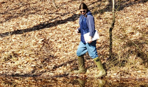 A Student Conservation Association member monitoring amphibian breeding at a vernal pool. (Image: Alex Wolf)