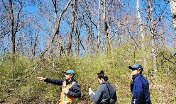 Scenic Hudson staff work with a consulting forester to develop a forest restoration plan at Esopus Meadows Preserve. (Image: Alex Wolf)