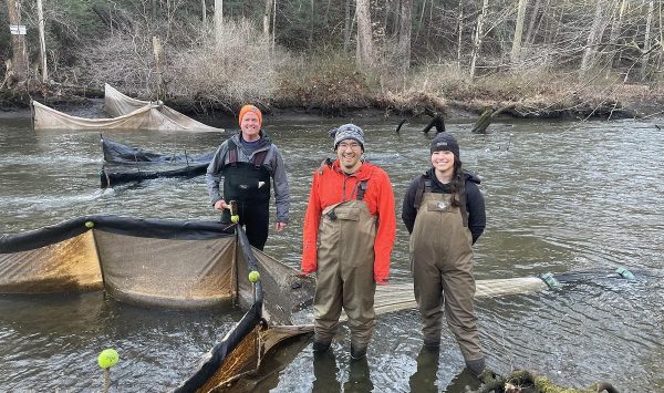 NYSDEC, Scenic Hudson, and volunteers collaborate to count glass eels entering Black Creek each spring. (Image: Sharon Briden)
