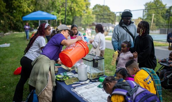 Poughkeepsie community members explore the animals found in the Fall Kill Creek at AquaBlitz in Malcolm X Park (Image: Tyler Blodgett)